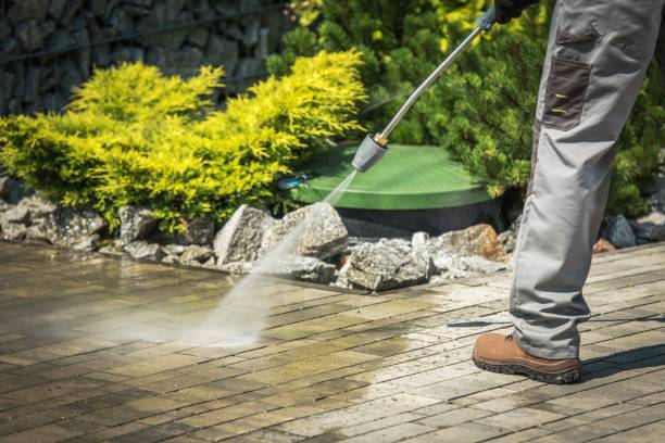 Best House Exterior Washing  in Cedar Creek, TX