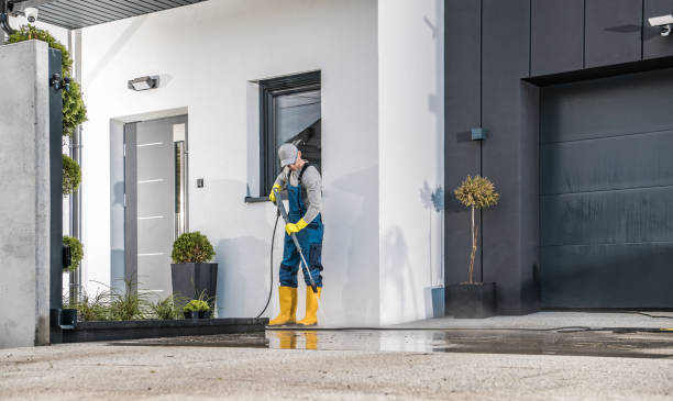 Best Solar Panel Cleaning  in Cedar Creek, TX